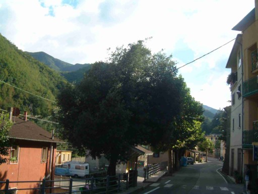  Image name: 08 leccio.jpg 
 width: 512 pixel 
 height: 384 pixel 
 Size: 48414 bytes 
 Click to enlarge 